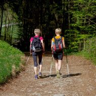 Zwei Frauen wandern durch einen Wald