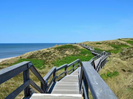 Holzsteg zwischen Dünen auf Sylt an der Nordsee