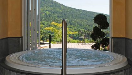 Whirlpool mit Ausblick auf den Bayerischen Wald im Burghotel Sterr