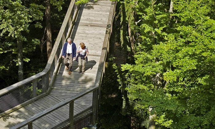 Älteres Paar spaziert durch den Bayerwald