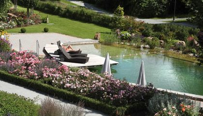 Übersicht vom Naturbadeweiher im Garten