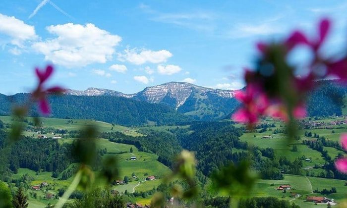 Grüne Wiesen und Berglandschaft in Bayern