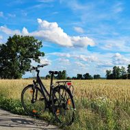 Fahrrad vor Feld am Niederrhein