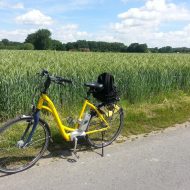 Gelbes Fahrrad neben Feld