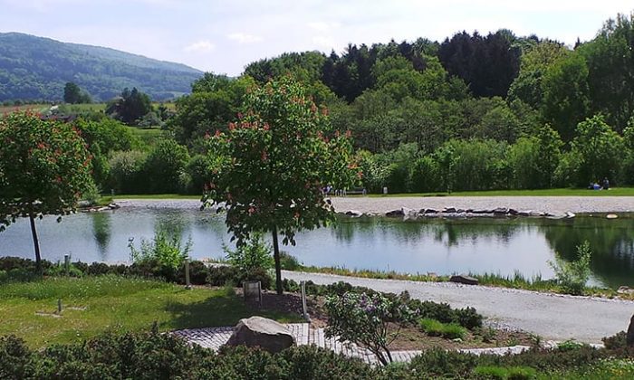 Kurpark mit See und zahlreichen Pflanzen