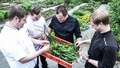 Küchenteam mit frischem Gemüse