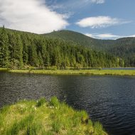 Berg großer Arber in Niederbayern umgeben von Wäldern