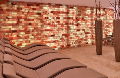 Braune liegen im Ruheraum 2