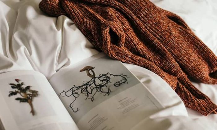 Aufgeklapptes Buch im Bett