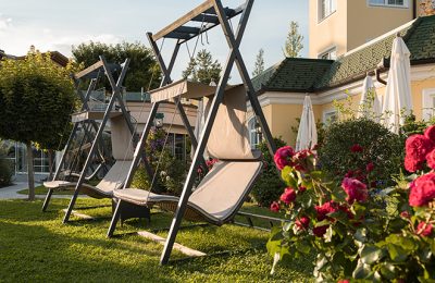 Mehrere Schwebeliegen an einem sonnigen Tag im Garten