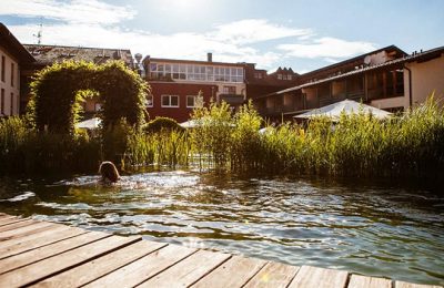 Natursee im Garten bei sonnigem Wetter