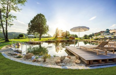 Pool im Garten