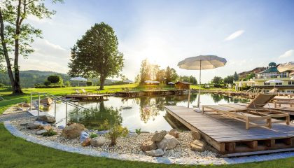 Pool im Garten