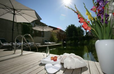 Garten mit Naturschwimmbad bei sonnigem Wetter