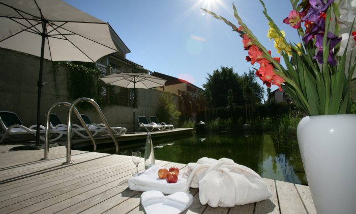 Garten mit Naturschwimmbad bei sonnigem Wetter