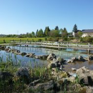 Naturlandschaft in Bad Birnbach