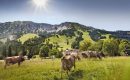 Menschen wandern in den Alpen