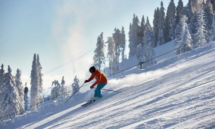 Skifahrer im Bayerwald