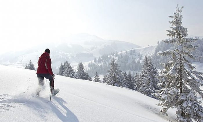 Macht mal Schneewanderung im Bayerwald