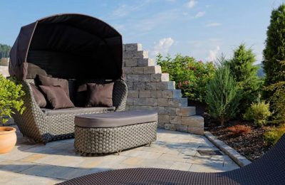 Graue Liegemuschel im Garten