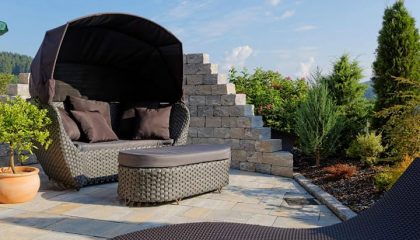 Graue Liegemuschel im Garten