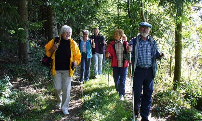 Wandern Eine Gruppe wandert im Geiersthal