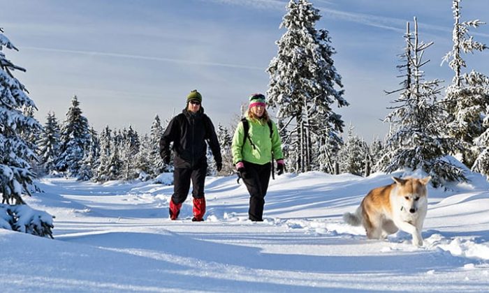 Mann Frau und Hund machen eine Winterwanderung