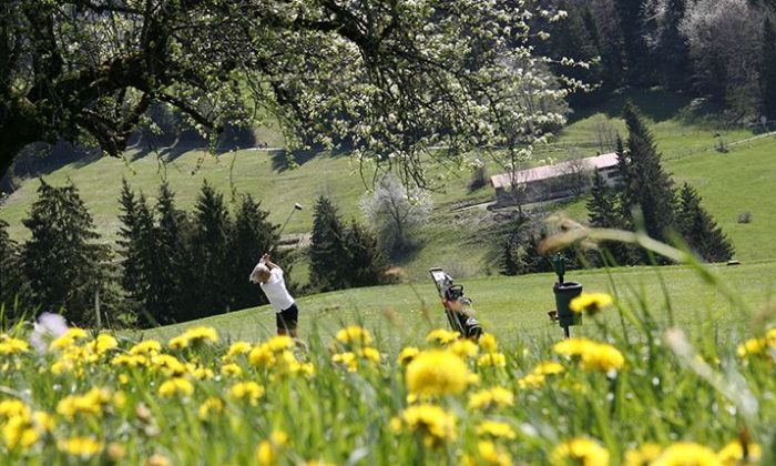 Mann spielt Golf auf blühender Wiese