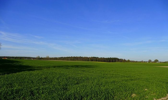 Grüne Landschaft vor blauem Himmel am Niederrhein