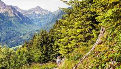 Oberjoch kurz mal weg Wälder im Allgäu