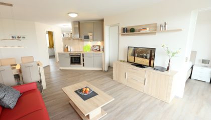 Wohnraum in der Ferienwohnung mit Elbblick