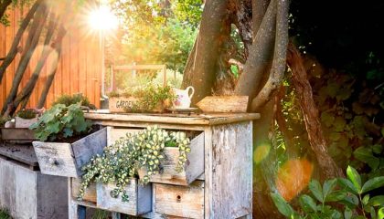 Kommode im Garten bei Sonnenuntergang