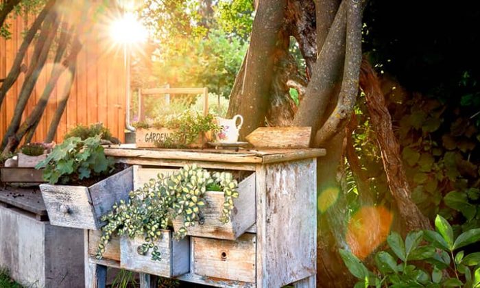 Kommode im Garten bei Sonnenuntergang